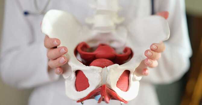 Pelvic Health on the Road: How to Travel Mindfully and Comfortably image