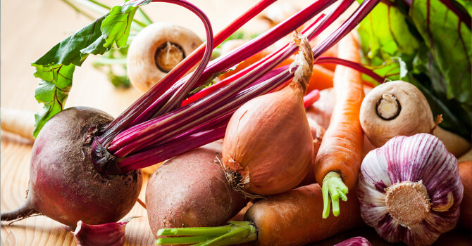 Rooting In: Supporting Your Hormones, Nervous System, and Pelvic Floor In The New Year